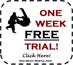 martial arts New Jersey free trial classes judo kickboxing